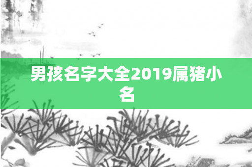 男孩名字大全2019属猪小名