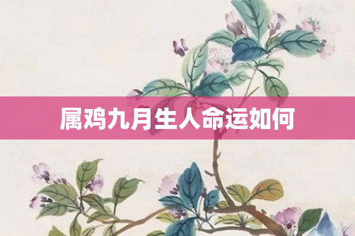 属鸡九月生人命运如何