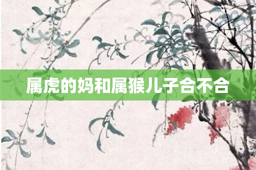 属虎的妈和属猴儿子合不合