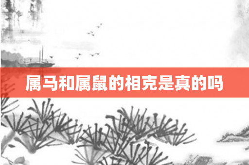 属马和属鼠的相克是真的吗