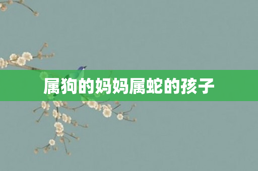 属狗的妈妈属蛇的孩子