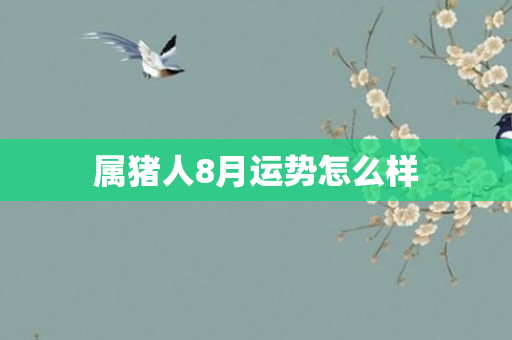 属猪人8月运势怎么样