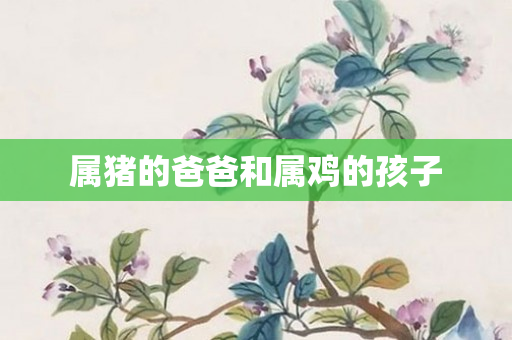 属猪的爸爸和属鸡的孩子