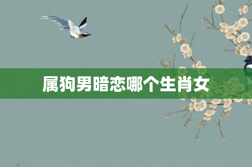 属狗男暗恋哪个生肖女