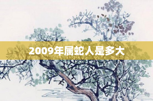 2009年属蛇人是多大