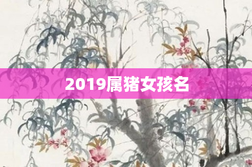 2019属猪女孩名