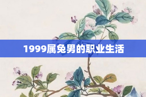 1999属兔男的职业生活