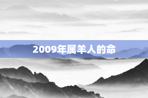 2009年属羊人的命