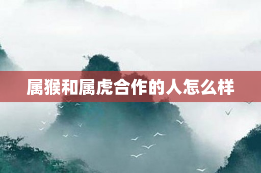 属猴和属虎合作的人怎么样