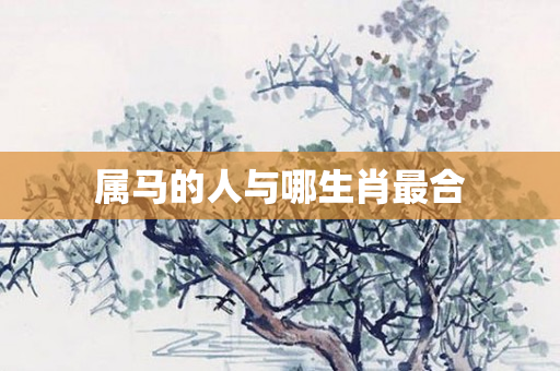 属马的人与哪生肖最合