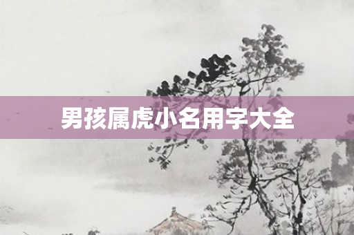 男孩属虎小名用字大全