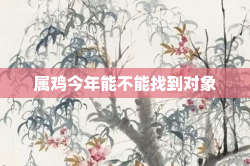 属鸡今年能不能找到对象