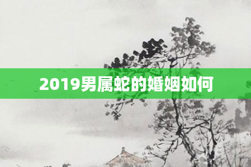 2019男属蛇的婚姻如何