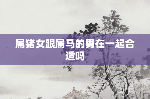 属猪女跟属马的男在一起合适吗