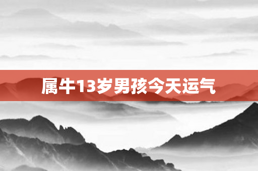 属牛13岁男孩今天运气