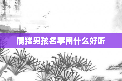 属猪男孩名字用什么好听