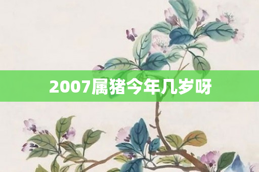 2007属猪今年几岁呀