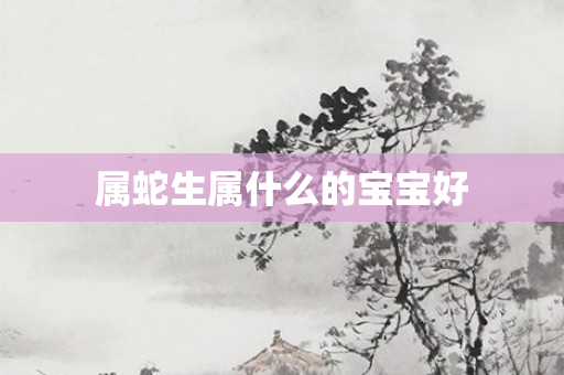 属蛇生属什么的宝宝好
