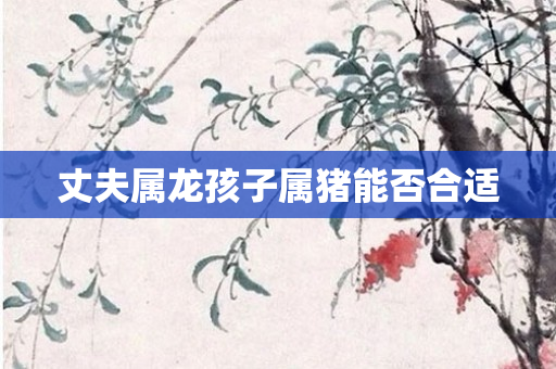 丈夫属龙孩子属猪能否合适
