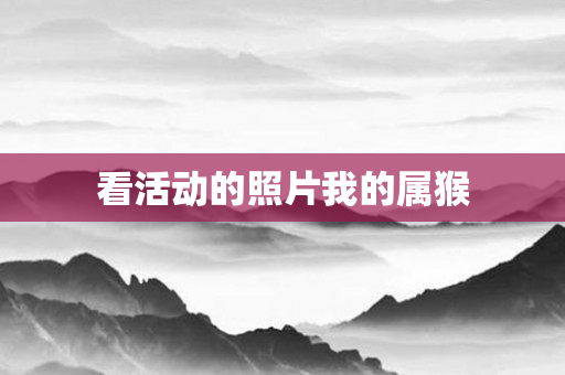 看活动的照片我的属猴