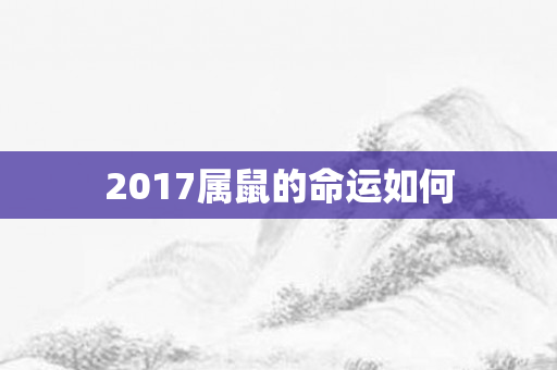 2017属鼠的命运如何