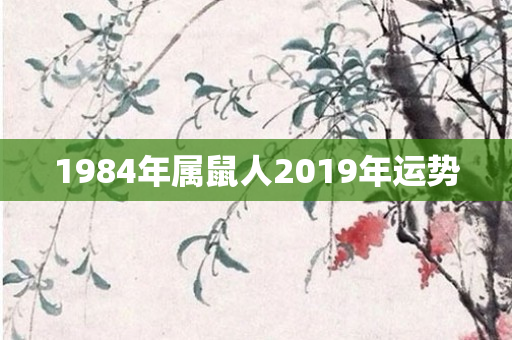 1984年属鼠人2019年运势