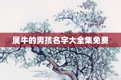 属牛的男孩名字大全集免费
