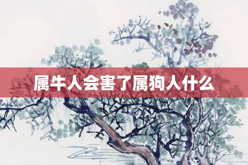 属牛人会害了属狗人什么