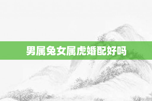 男属兔女属虎婚配好吗