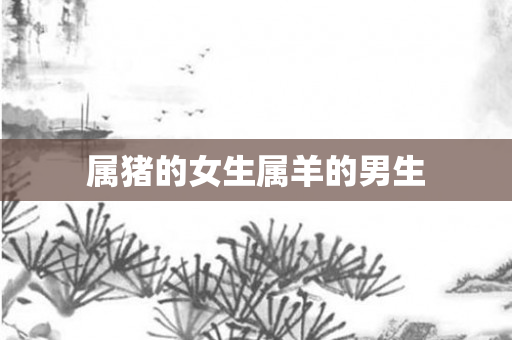属猪的女生属羊的男生