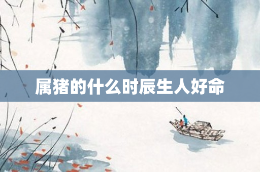 属猪的什么时辰生人好命