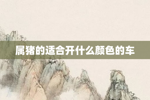 属猪的适合开什么颜色的车