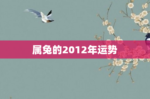 属兔的2012年运势
