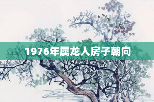 1976年属龙人房子朝向