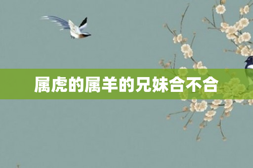 属虎的属羊的兄妹合不合