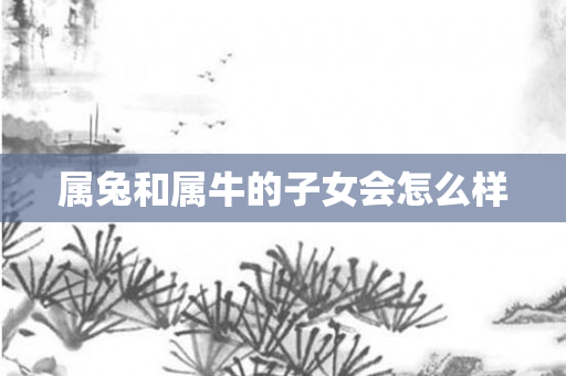属兔和属牛的子女会怎么样