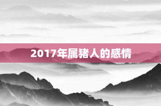 2017年属猪人的感情