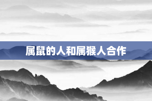 属鼠的人和属猴人合作