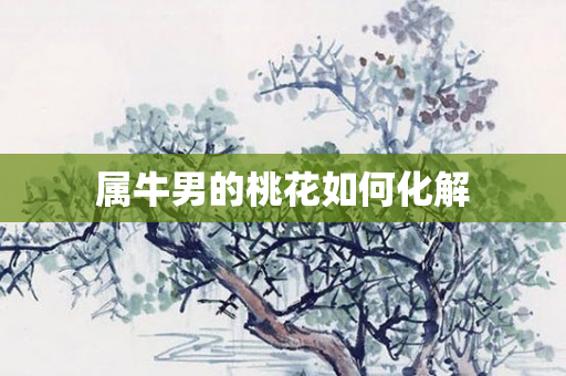 属牛男的桃花如何化解