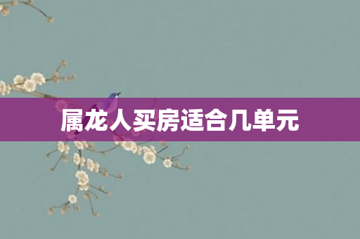 属龙人买房适合几单元