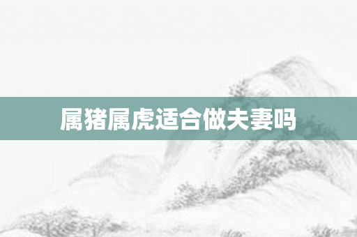 属猪属虎适合做夫妻吗