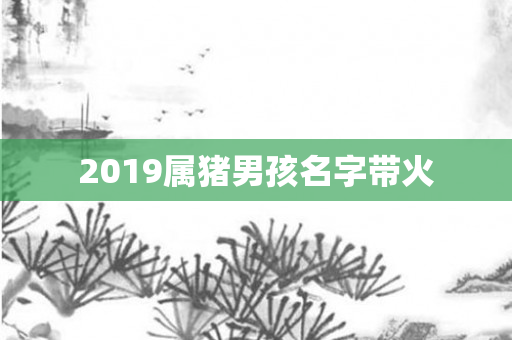 2019属猪男孩名字带火