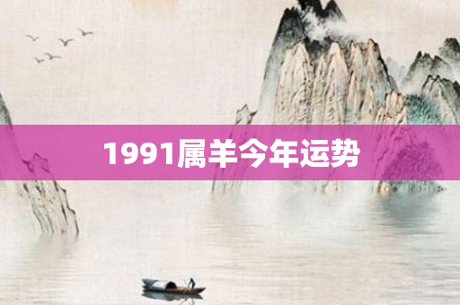 1991属羊今年运势