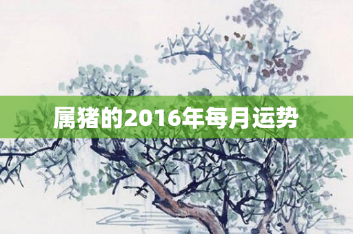 属猪的2016年每月运势