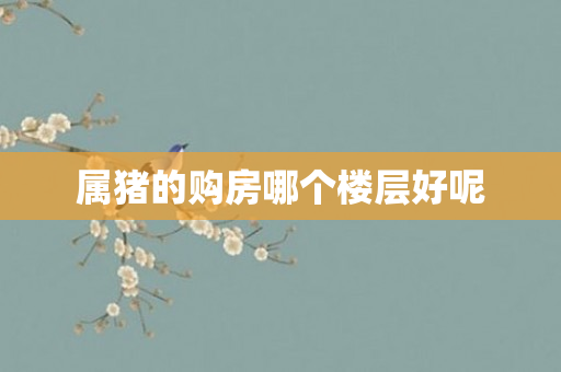 属猪的购房哪个楼层好呢