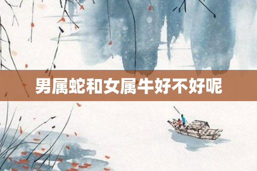 男属蛇和女属牛好不好呢
