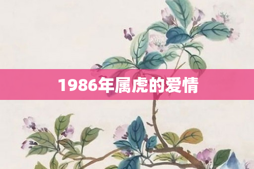 1986年属虎的爱情