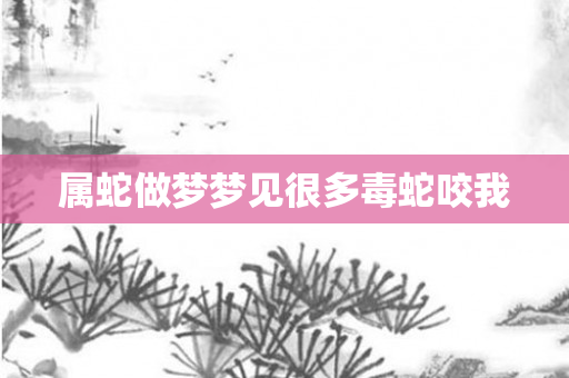 属蛇做梦梦见很多毒蛇咬我
