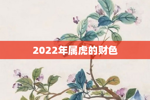 2022年属虎的财色