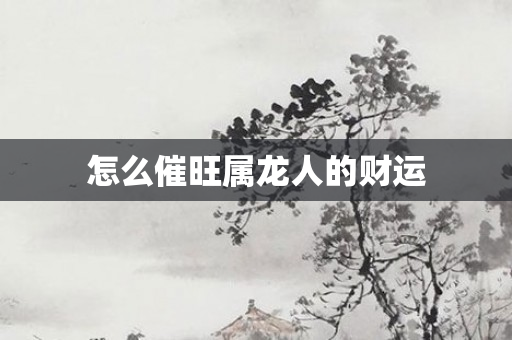 怎么催旺属龙人的财运